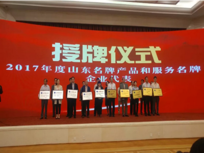 热烈祝贺九州网页版荣获“山东名牌”荣誉称号
